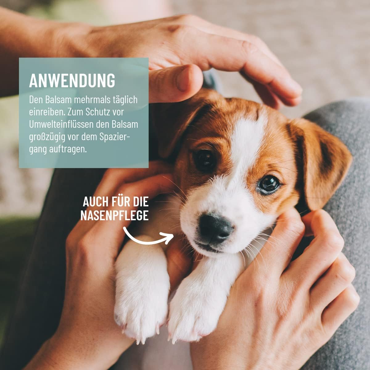 ReaVET Paw Balm Dog & Cat 120 ml - Natural Paw Care with Shea Butter, Coconut Oil & Beeswax