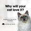 Fussy Cat Grain Free Twice as Tasty Kitten Wet Food, Kitten Mince 12x80g