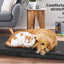 PaWz Foldable Soft Cushion Bed for Dog, XXL, Black