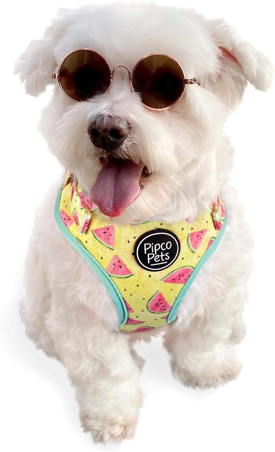 3-Piece Walkies Bundle [Pipco Pets] - Adjustable Dog Harness + Lead + Poo Bag Dispenser | Medium