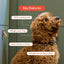 PitPat Dog Activity and Fitness Monitor (No GPS)