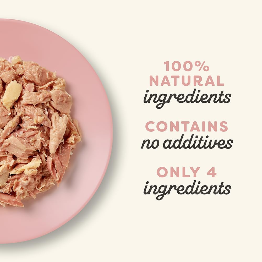 Applaws 100% Natural Wet Cat Food Tin Tuna Fillet with Salmon in Broth Tin 70g (Pack of 24)
