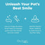 Oxyfresh Premium Pet Dental Kit for Dogs & Cats – Easy Solution for Fresh Breath