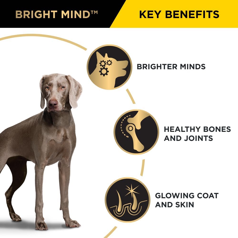 PURINA Pro Plan Adult 7+ Bright Mind Chicken Dry Dog Food 12kg
