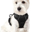 rabbitgoo Dog Harness, No-Pull Pet Harness with 2 Leash Clips, Adjustable Soft Padded Dog Vest, Reflective No-Choke Pet Oxford Vest with Easy Control Handle for Small Dogs, Black, XS