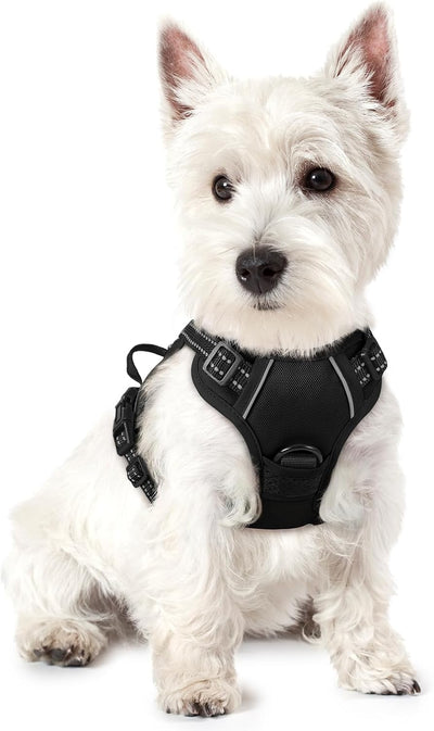 rabbitgoo Dog Harness, No-Pull Pet Harness with 2 Leash Clips, Adjustable Soft Padded Dog Vest, Reflective No-Choke Pet Oxford Vest with Easy Control Handle for Small Dogs, Black, XS