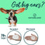 [150 pcs Extra-Large] Natureland Dog Ear Wipes - Extra Large Pads [170%] Ear Infections and Ear Odor in Pets