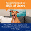 ThunderWunders Dog Calming Chews | Thiamine, L-Tryptophan, Melatonin and Ginger (125 Count)