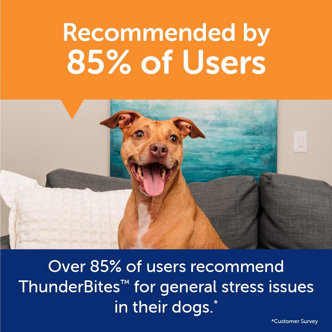 ThunderWunders Dog Calming Chews | Thiamine, L-Tryptophan, Melatonin and Ginger (125 Count)
