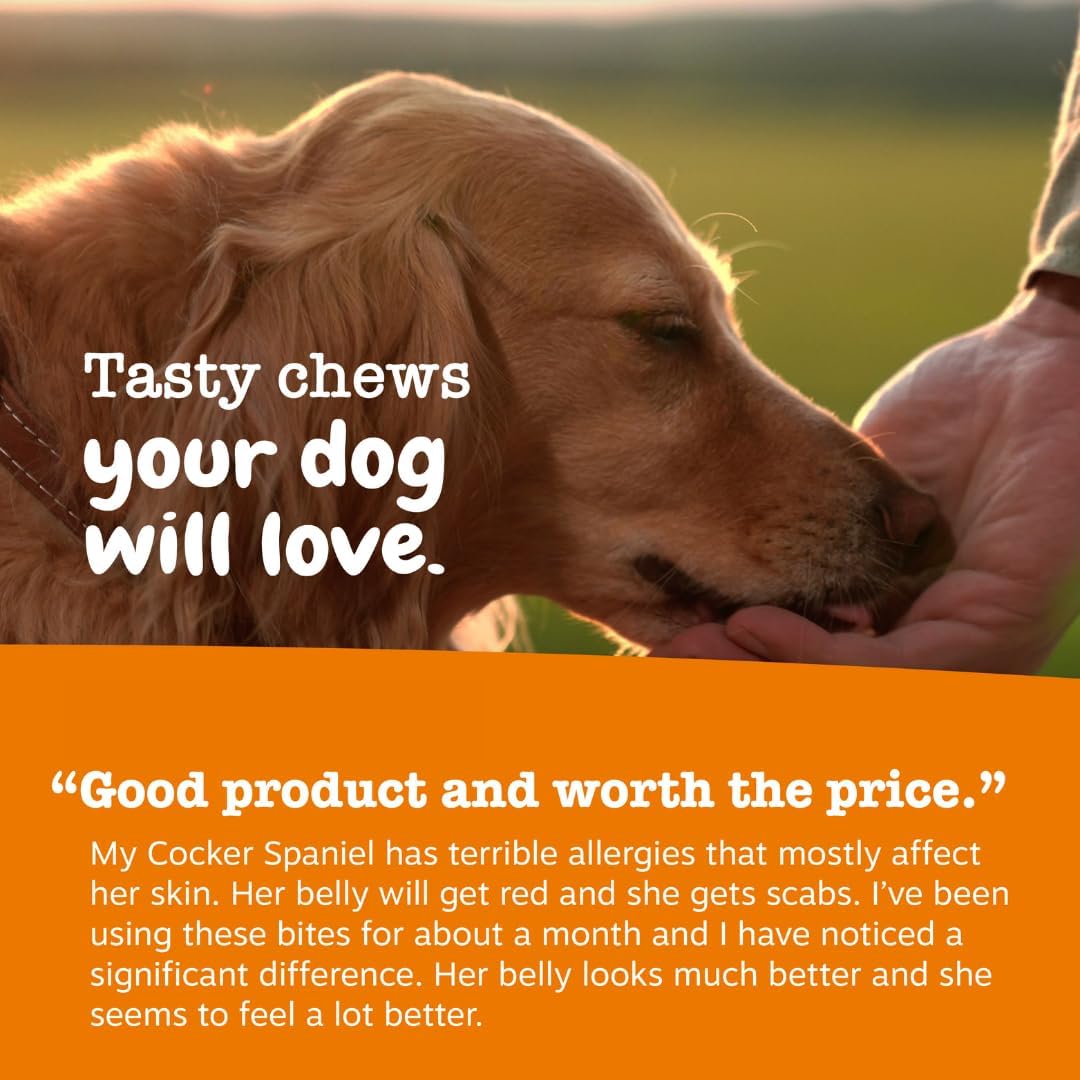 WellPet Allergy Support Chews for Dogs & Cats–Itch Relief, Immune Support,Chicken flavour,100 Chews