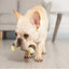 Dog Chew Toys for Aggressive Chewers Large Breed,2 Pack Beef Flavor
