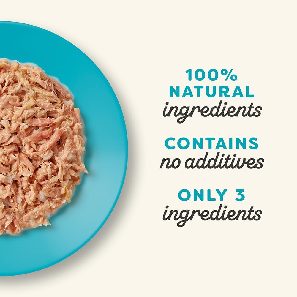 Applaws 100% Natural Wet Cat Food Tuna Fillet in Broth, Limited Ingredients Pet Food 70g Tin (Pack of 24)