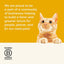 Applaws 100% Natural Wet Cat Treat Chicken Bone Broth with Chicken Breast Soup, Limited Ingredients Pet Food 80g (Pack of 6)