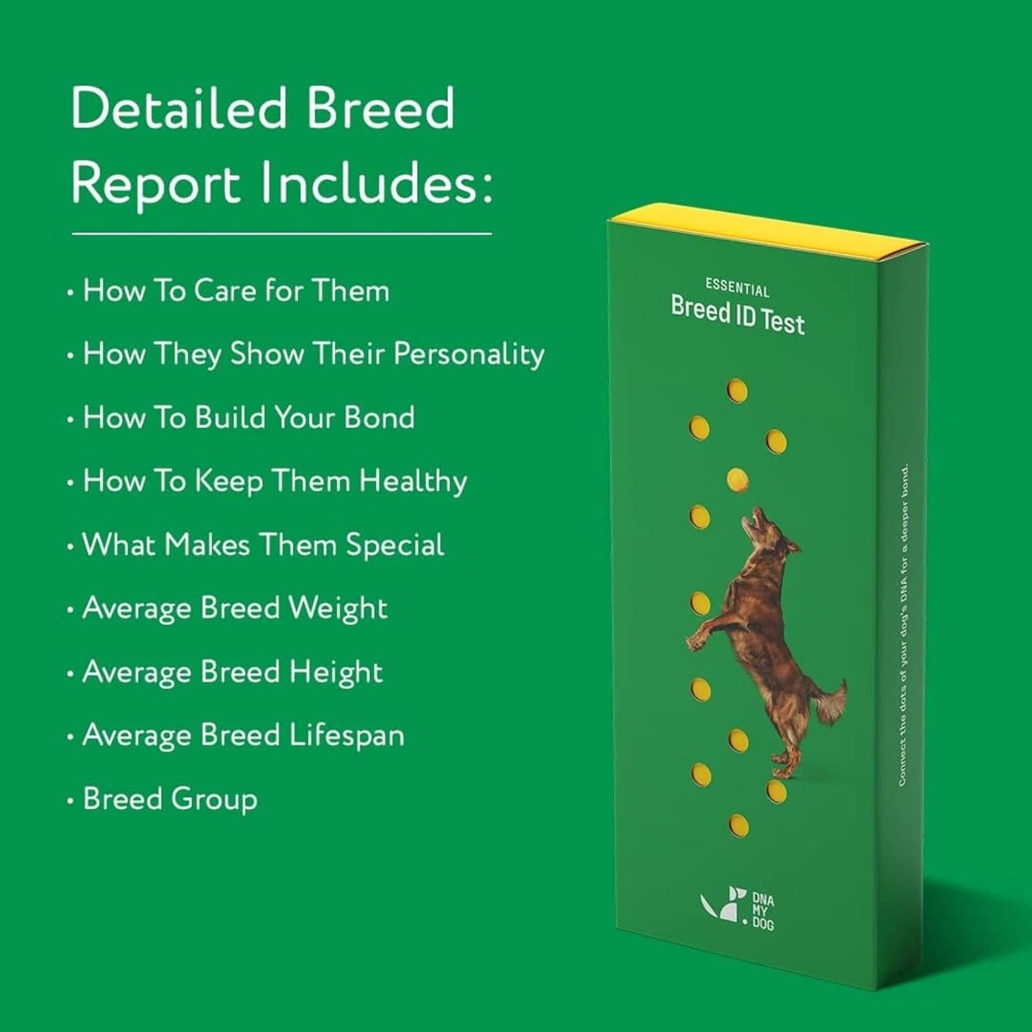 DNA MY DOG – Trusted & Affordable Breed Identification Test | 350+ Breeds Identified w/ 99%+ Accuracy