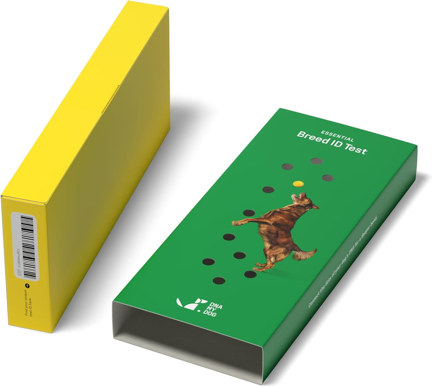 DNA MY DOG – Trusted & Affordable Breed Identification Test | 350+ Breeds Identified w/ 99%+ Accuracy