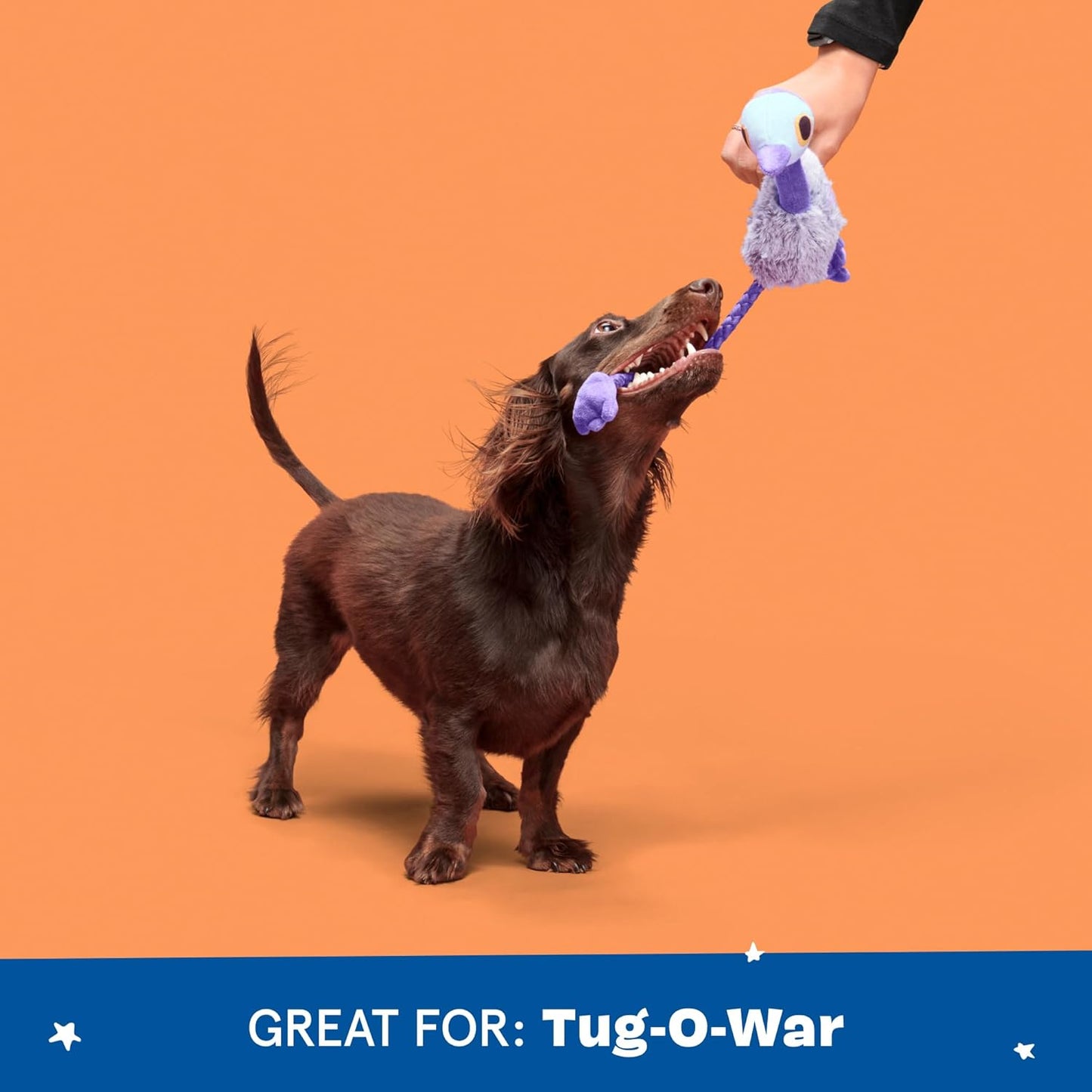 Barkbox Adelaide Emu Plush Dog Toy – Aussie Outback Inspired Squeaky & Rope Tug Toy