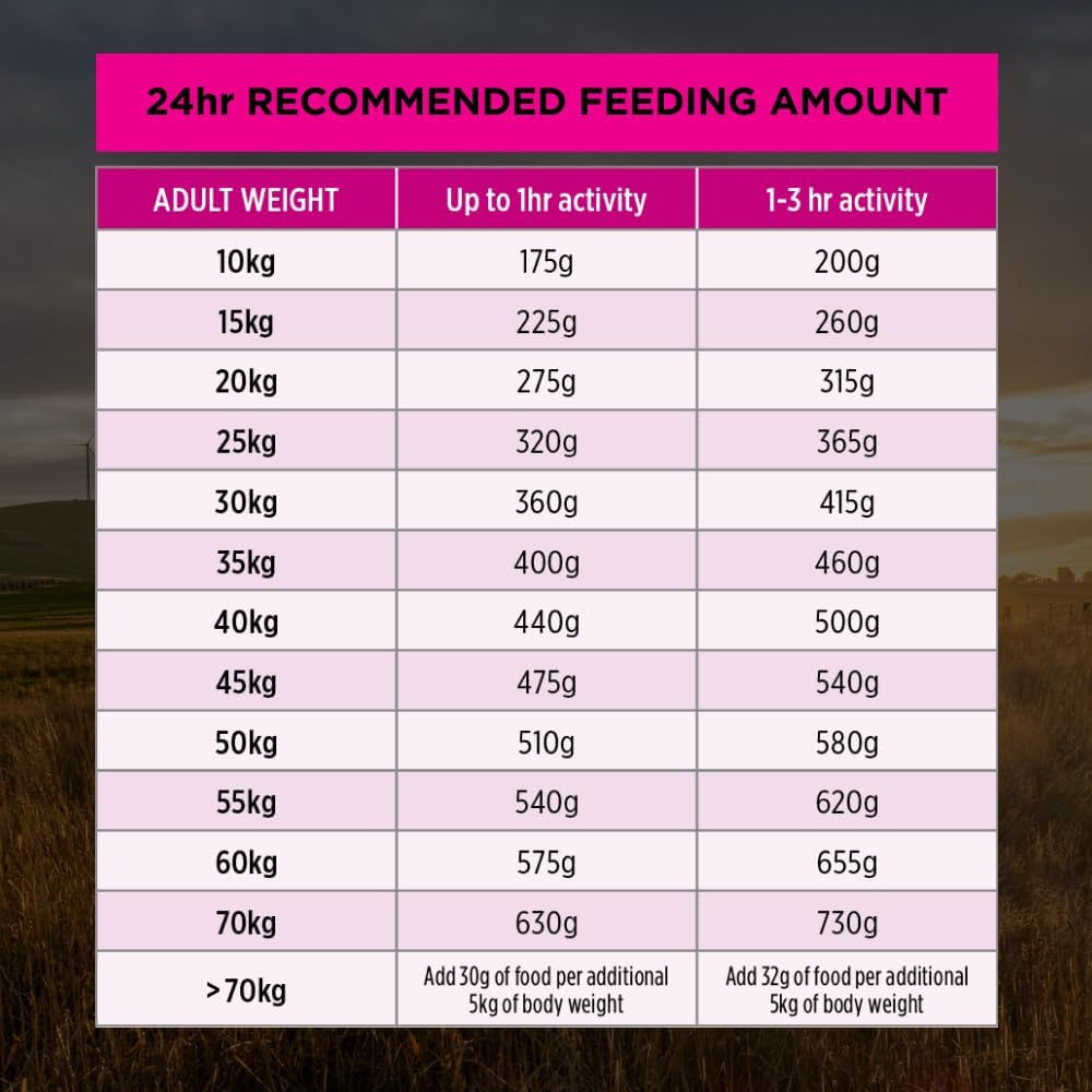 PRO Plan Adult Dry Dog Food Medium and Large Breeds Salmon and Mackerel 12kg