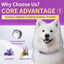 Fluorescent Calming Collar for Dogs and Cats with Pheromones - Maximum Anxiety Relief & Stress Reduction for Thunderstorms,Travel, Fireworks and Noise Phobias - Long Lasting 30 Days
