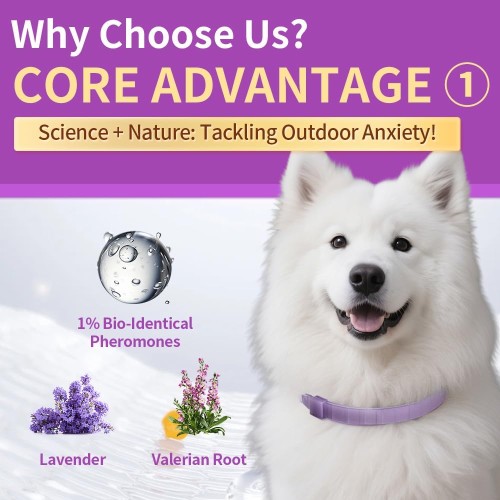 Fluorescent Calming Collar for Dogs and Cats with Pheromones - Maximum Anxiety Relief & Stress Reduction for Thunderstorms,Travel, Fireworks and Noise Phobias - Long Lasting 30 Days