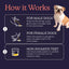 Oncotect Essential Dog Cancer Screening Test Kit