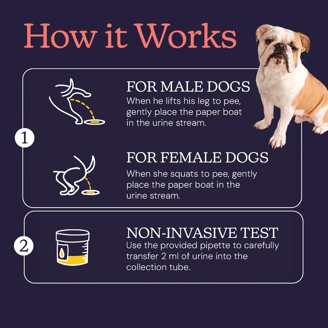 Oncotect Essential Dog Cancer Screening Test Kit