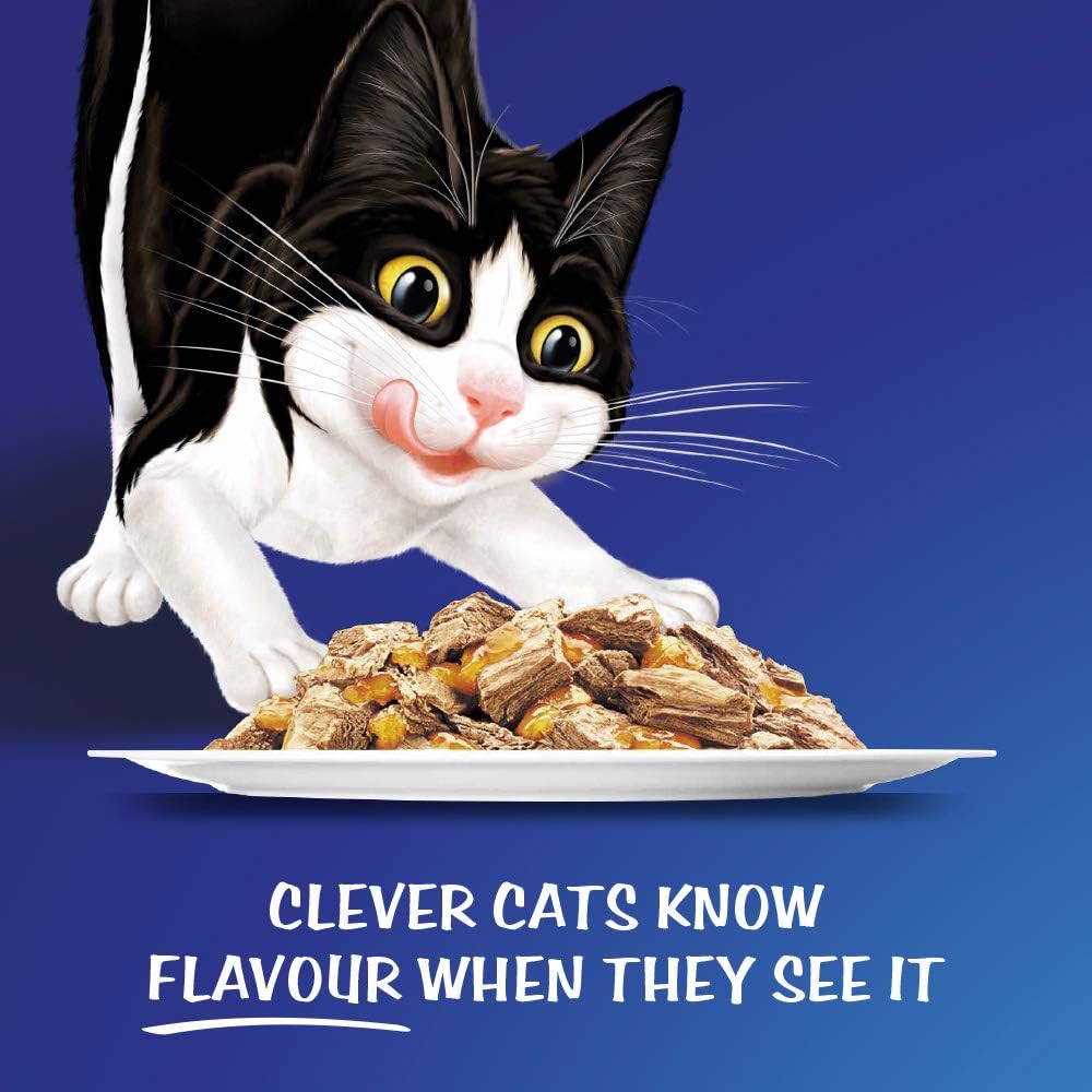 FELIX As Good As It Looks Adult Wet Cat Food Ocean Menus in Jelly 60x85g