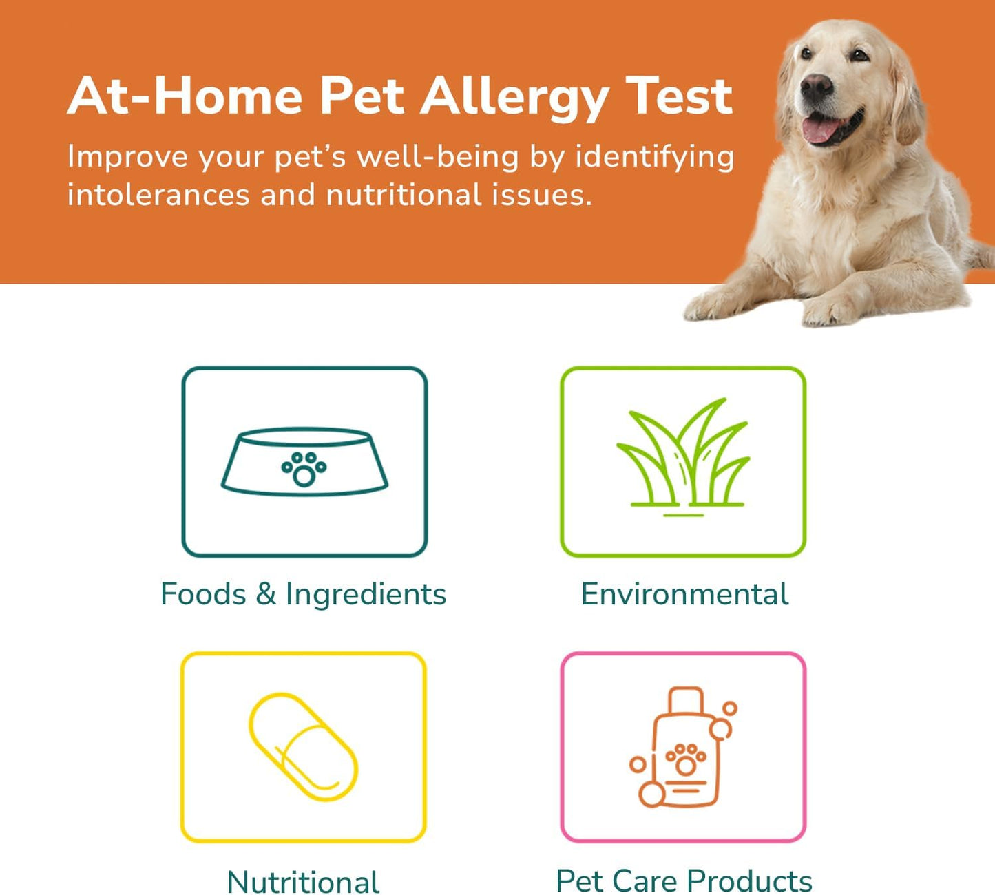 TotalVet Dog Allergy +1000 Food & Nutritional Sensitivity Test, Pet Intolerance Kit at Home