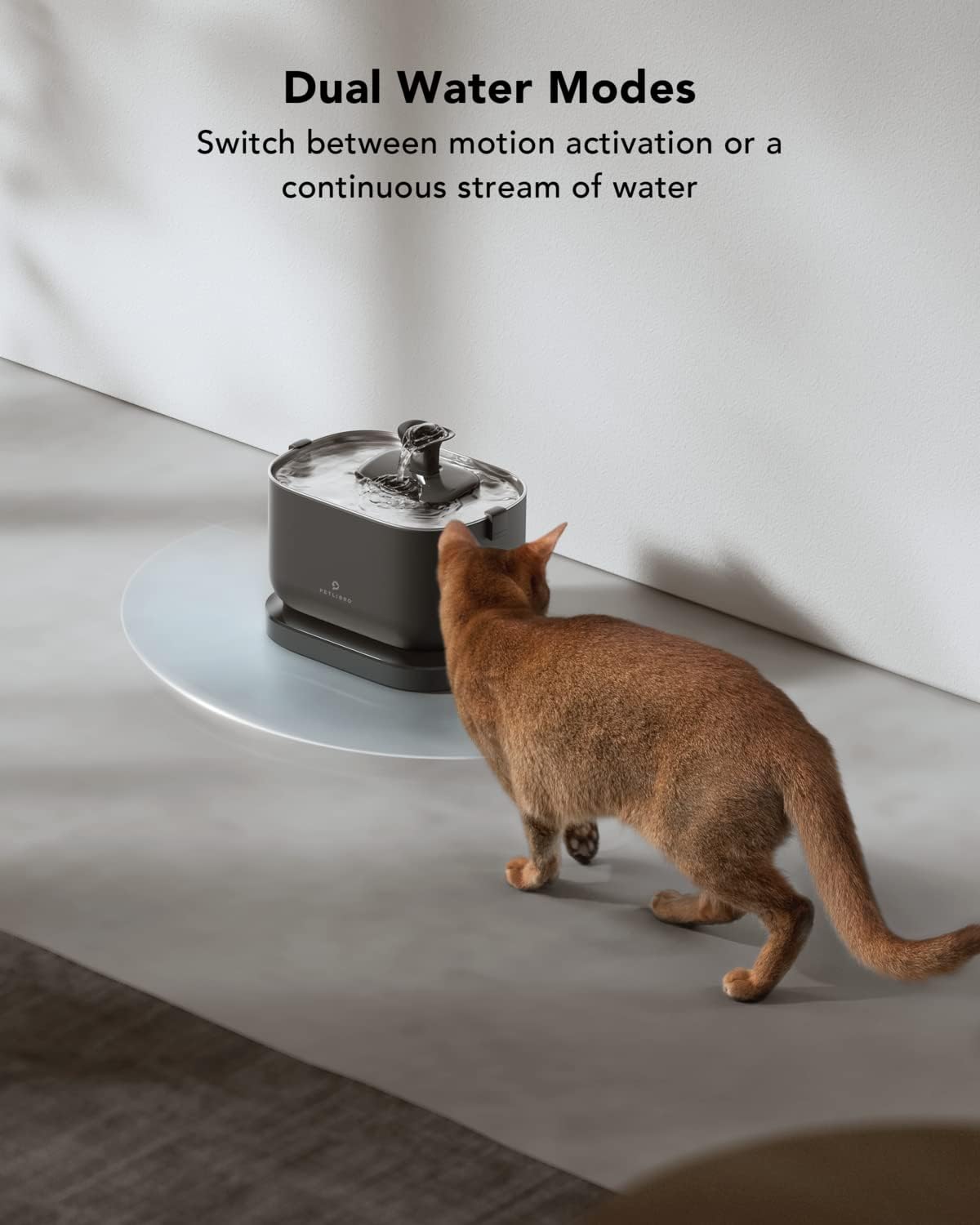 Petlibro Cat Water Fountain