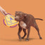 Barkbox Kangaroo Tossing Dog - Aussie Outback Disc with T-Shirt Rope & Crinkle – Fly-and-Tug Fetch Toy for Dogs