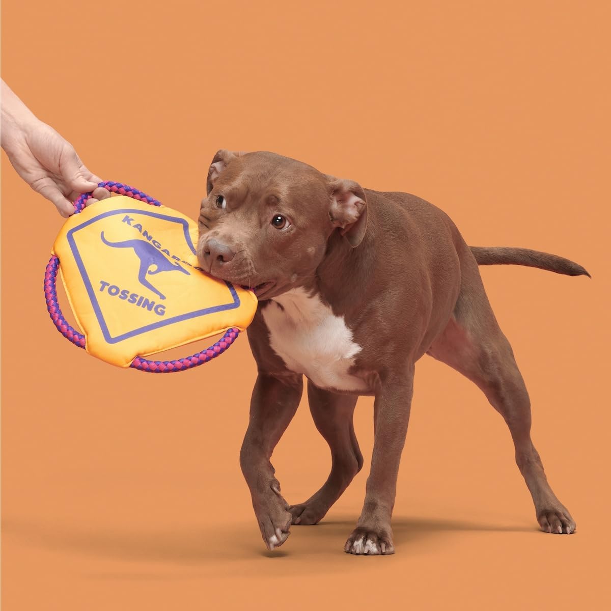 Barkbox Kangaroo Tossing Dog - Aussie Outback Disc with T-Shirt Rope & Crinkle – Fly-and-Tug Fetch Toy for Dogs