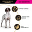 PRO Plan Adult Dry Dog Food Medium and Large Breeds Salmon and Mackerel 12kg