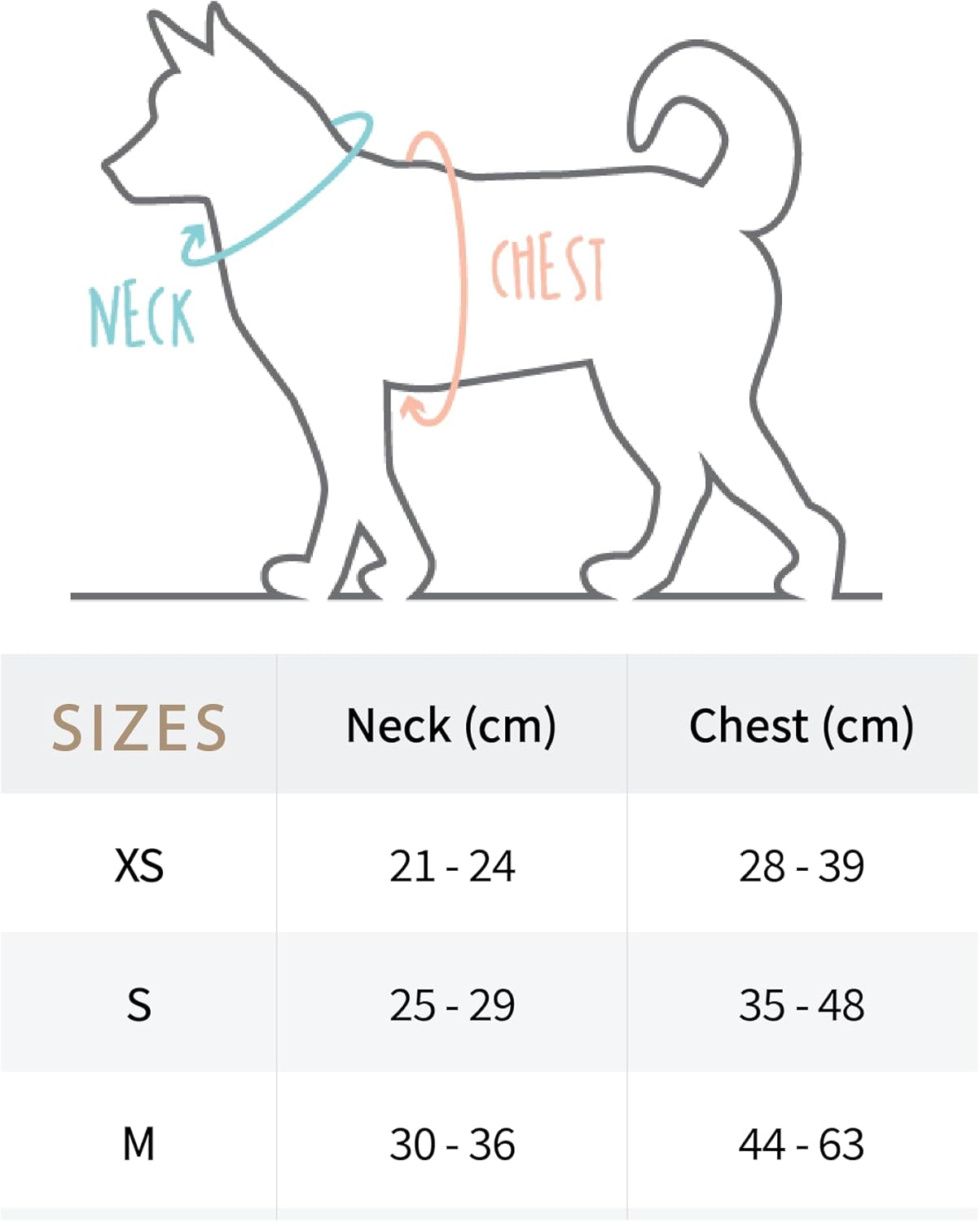4-Piece Walkies Bundle [Pipco Pets] - Adjustable Dog Harness + Collar + Lead + Poo Bag | (XS, Gettin' Ziggy)