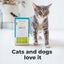 Oxyfresh Premium Pet Dental Kit for Dogs & Cats – Easy Solution for Fresh Breath