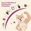 Natural Flea and Tick Collar for Dogs - 4 Pack, 8 Months Long-Lasting Protection, Waterproof, Adjustable Size for Small Medium and Large Dog
