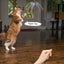 PAZ'S GIFT Cat Wand Toys - 3 Piece Catnip Wiggle Sounding Toys for Interactive Indoor Play