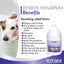 Zymox Shampoo for Dogs and Cats with Vitamin D, 1 Gallon