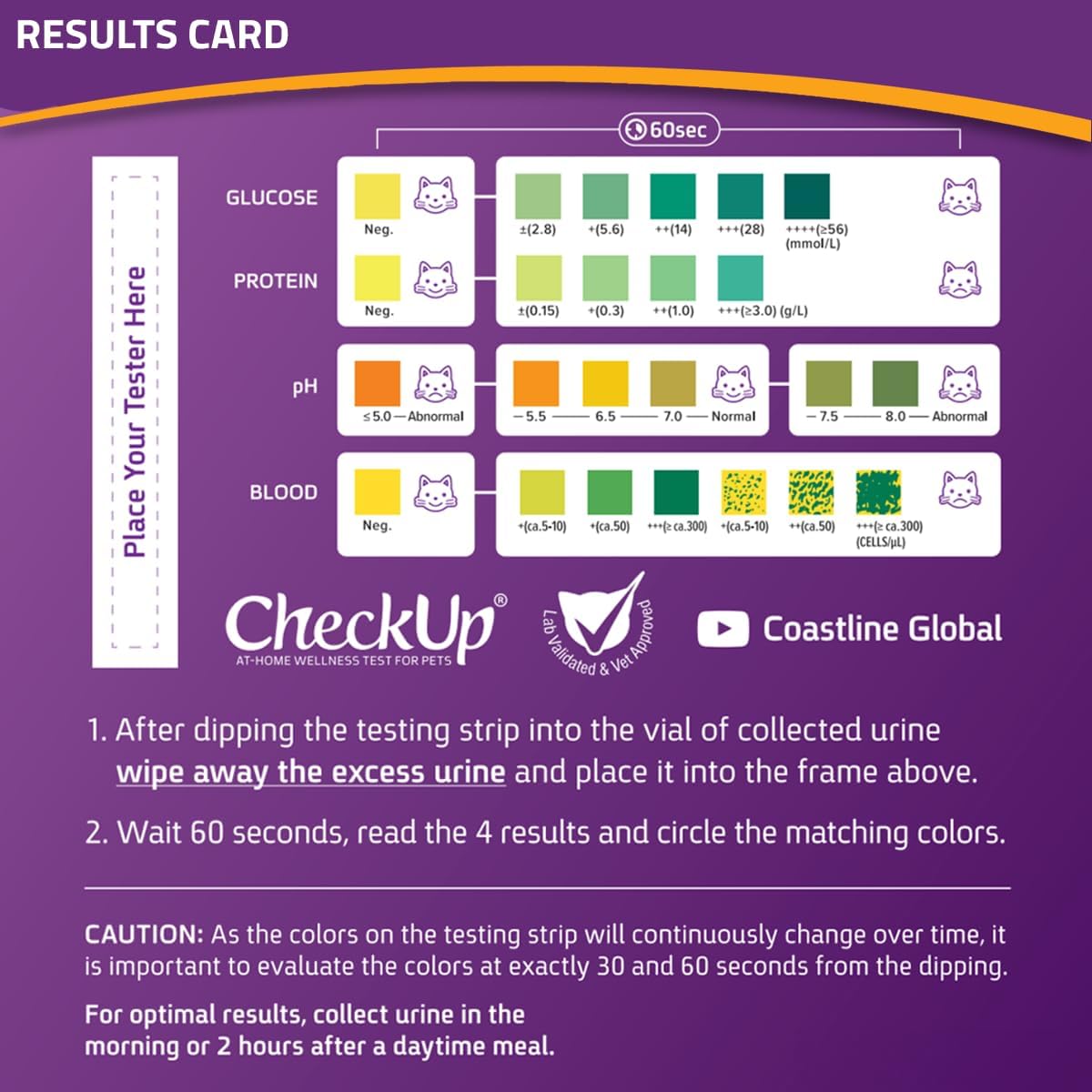 CheckUp at Home Wellness Test Kit for Cats | 2lb Hydrophobic Litter for Urine Collection, 2 Test Strips