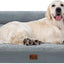 Casa Paw Orthopedic Dog Beds for Extra Large Dogs, Waterproof Dog Beds XLarge