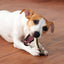 Dog Chew Toys for Aggressive Chewers Large Breed,2 Pack Beef Flavor