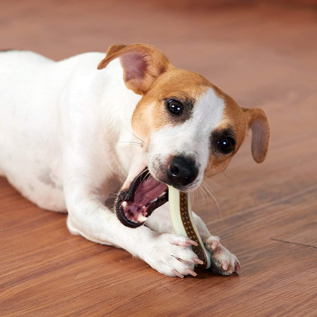 Dog Chew Toys for Aggressive Chewers Large Breed,2 Pack Beef Flavor