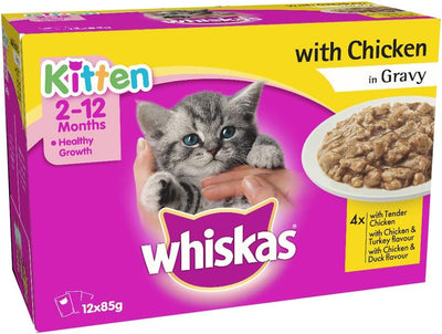 Whiskas Kitten Chicken in Gravy Wet Cat Food, 85 g (Pack of 12)