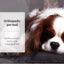 PaWz Foldable Soft Cushion Bed for Dog, XXL, Black