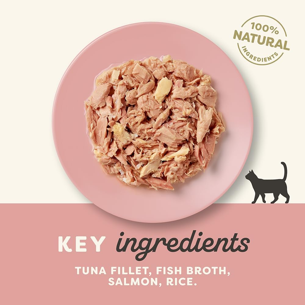 Applaws 100% Natural Wet Cat Food Tin Tuna Fillet with Salmon in Broth Tin 70g (Pack of 24)