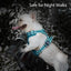 PoyPet No Pull Dog Harness, No Choke Reflective Dog Vest (Tumalo Teal,S)