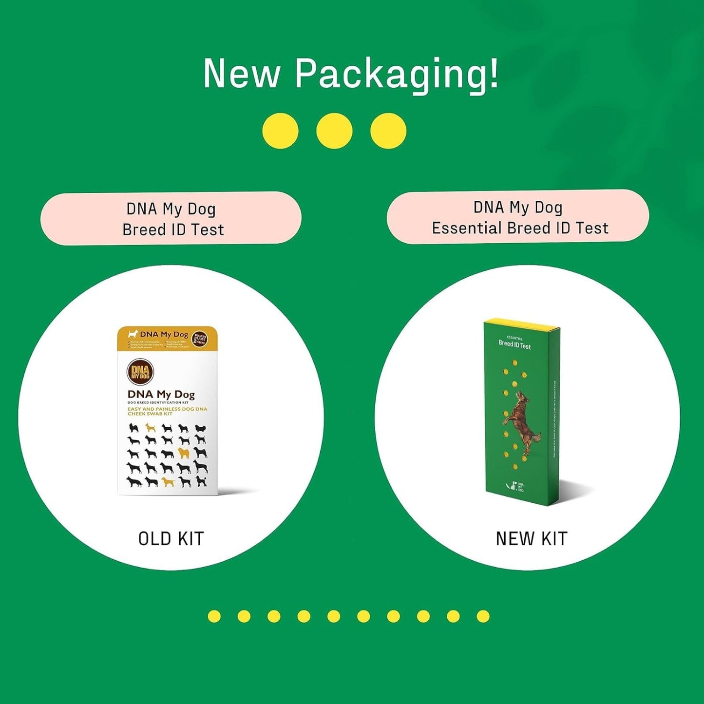 DNA MY DOG – Trusted & Affordable Breed Identification Test | 350+ Breeds Identified w/ 99%+ Accuracy