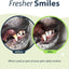Dental Fresh Water Additive for Cats, Original Formula, 8 oz – Cat Breath Freshener – Products for Cats to Help Overall Cat Dental Health