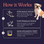 Oncotect Premium Dog Cancer Screening Test Kit – Non-Invasive, at-Home Urine Test-premium test
