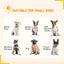 Enliansgo Dog Playpen 10 Panels Heavy Duty Dog Pen 54" Length Puppy Pet Playpen Outdoors & Indoors Anti-Rust Exercise Dog Fence with Doors for Medium/Small Pet Play for RV Camping Yard (Dog Playpens)