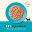 Applaws 100% Natural Wet Cat Food Tuna Fillet in Broth, Limited Ingredients Pet Food 70g Tin (Pack of 24)