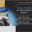 Fussy Cat Luxe Wet Cat Food, Tuna Flakes in Decadent Gravy 12x70g